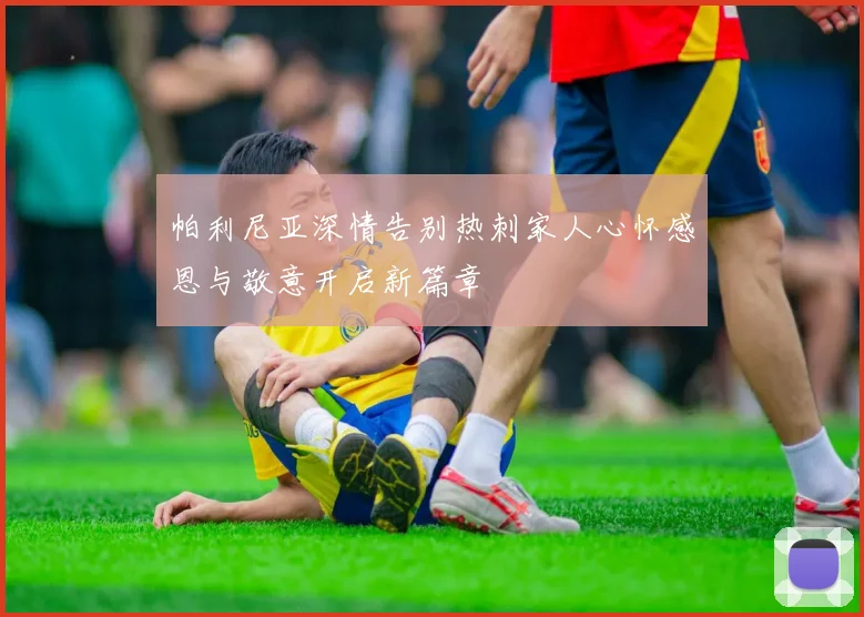 帕利尼亚深情告别热刺家人心怀感恩与敬意开启新篇章